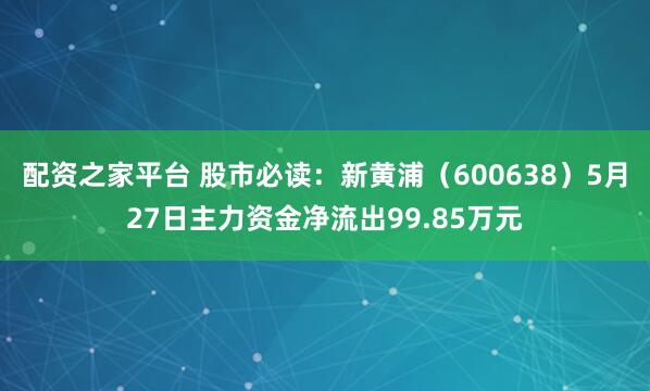 配资之家平台 股市必读：新黄浦（600638）5月27日主力资金净流出99.85万元